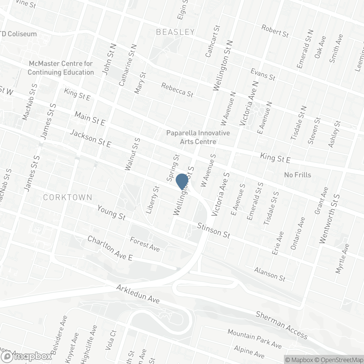 70 WELLINGTON STREET S, Hamilton, Ontario L8N 2R1